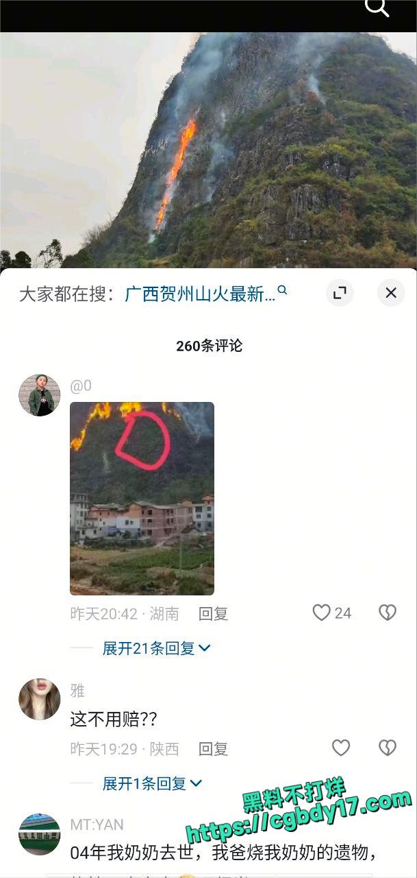 龙美山起火1