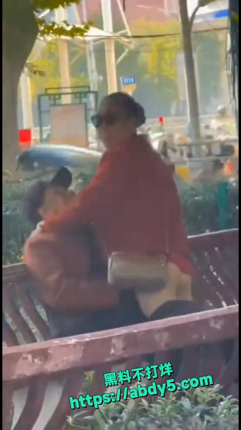 公园里的大爷大妈 7