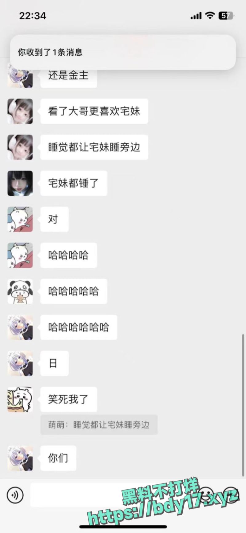 11.jpg