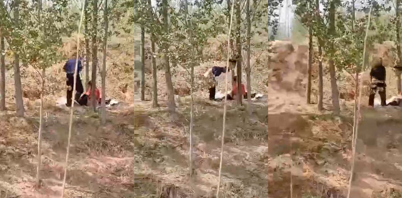 男同性恋小树林野战打炮被拍 路人见状高喊臭不要脸的同性恋 正在兴头上就被浇冷水