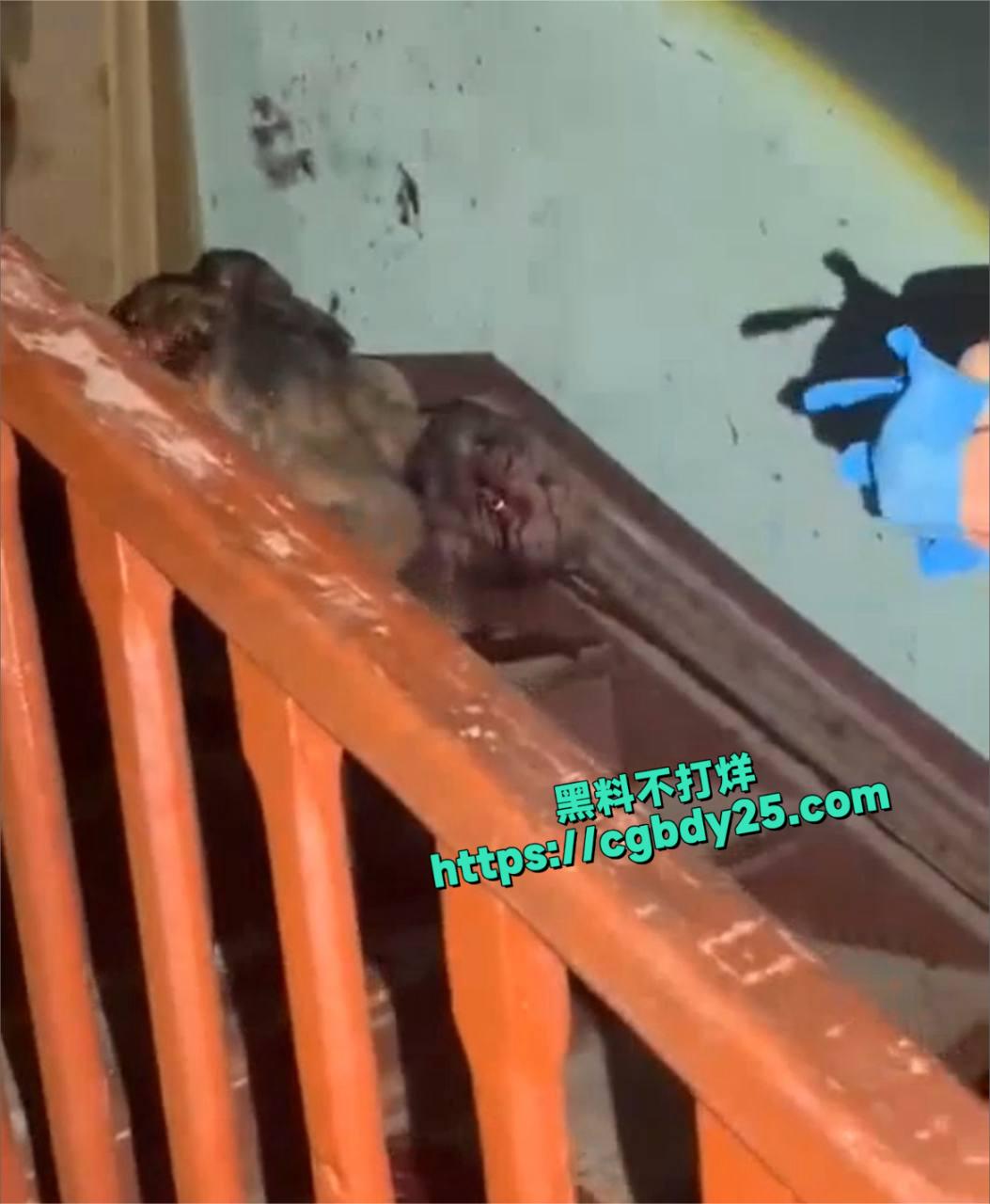 手雷爆炸4