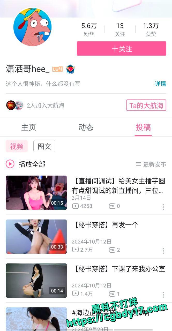 B站潇洒哥