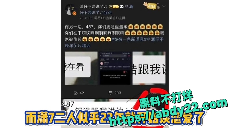 潇潇劈腿电竞冠军487 4