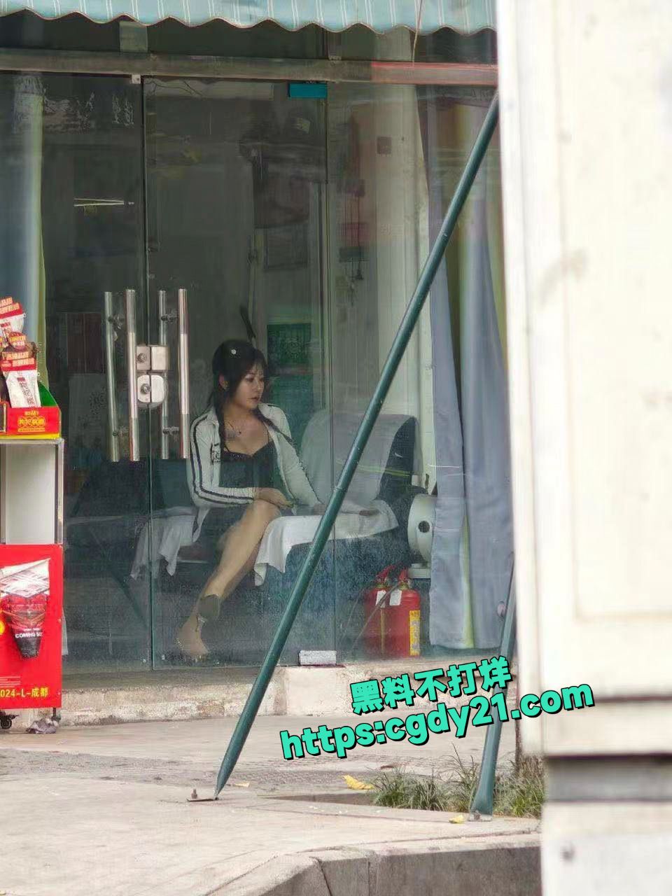 淳朴的乡村气息又出现了 五彩斑斓的鸡14
