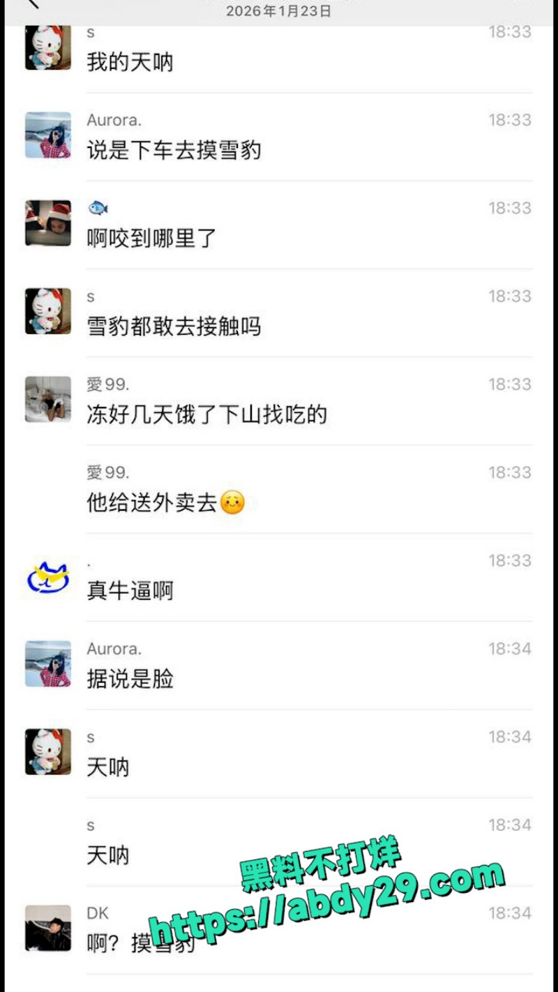 新疆可可托海发生雪豹伤人事件 7