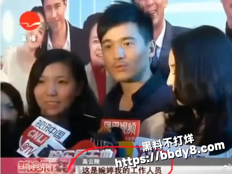 高云翔出轨张婉婷15