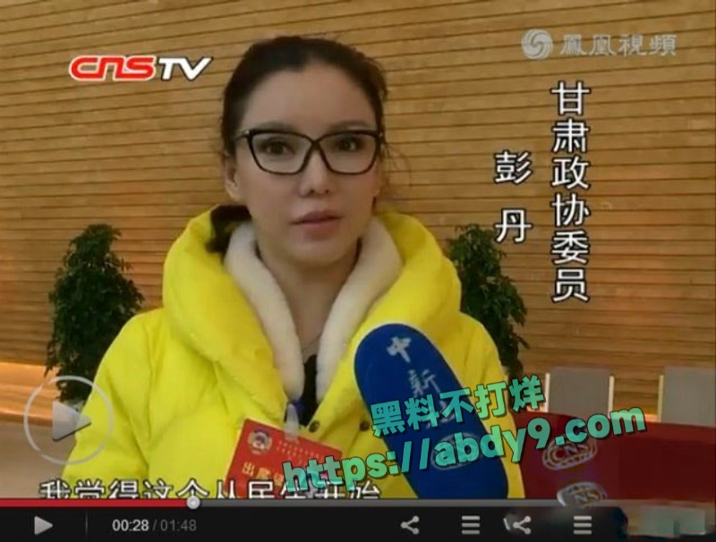 前香港三级片女王彭丹出席国家外交活动 3