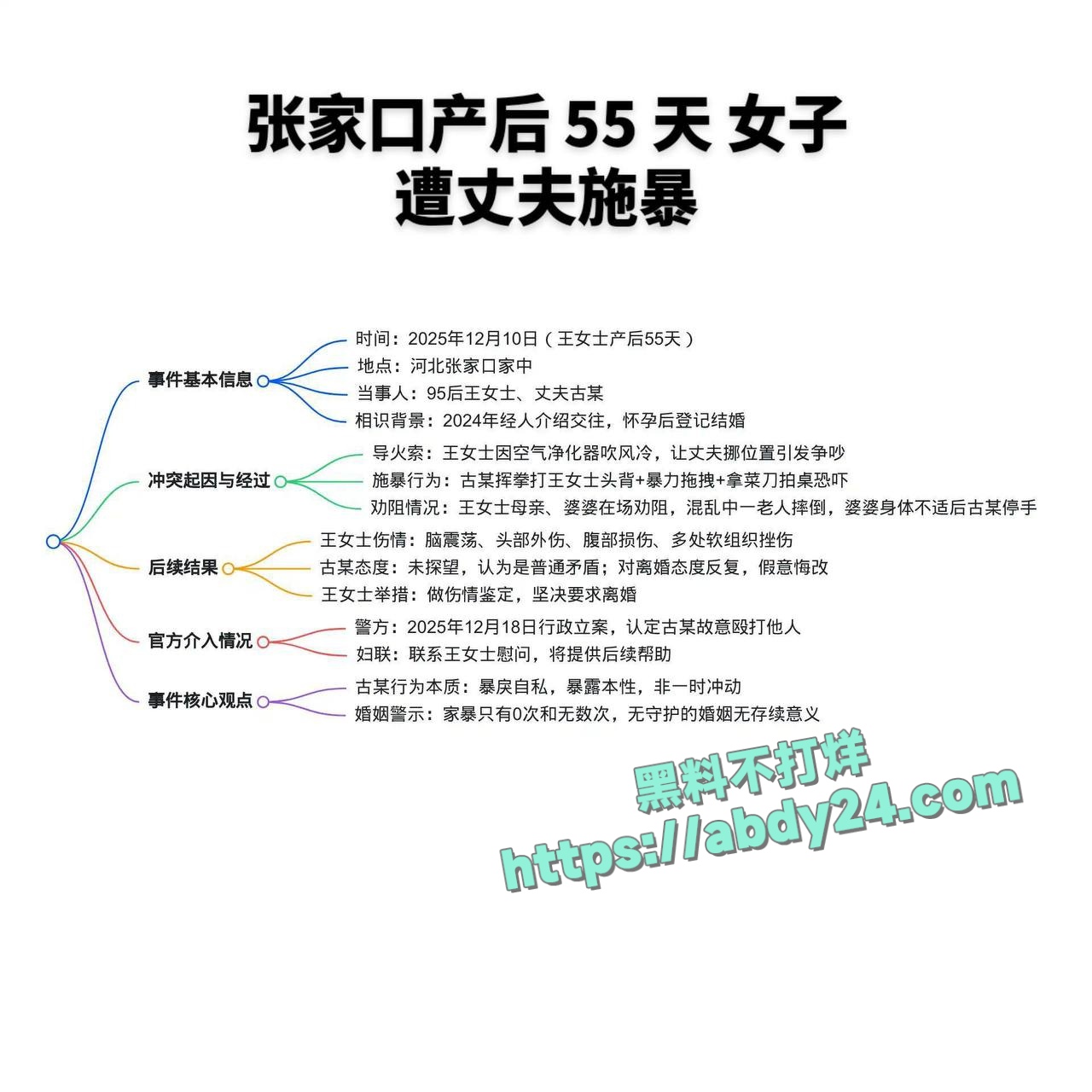 河北张家口王立婷被家暴昏厥 2