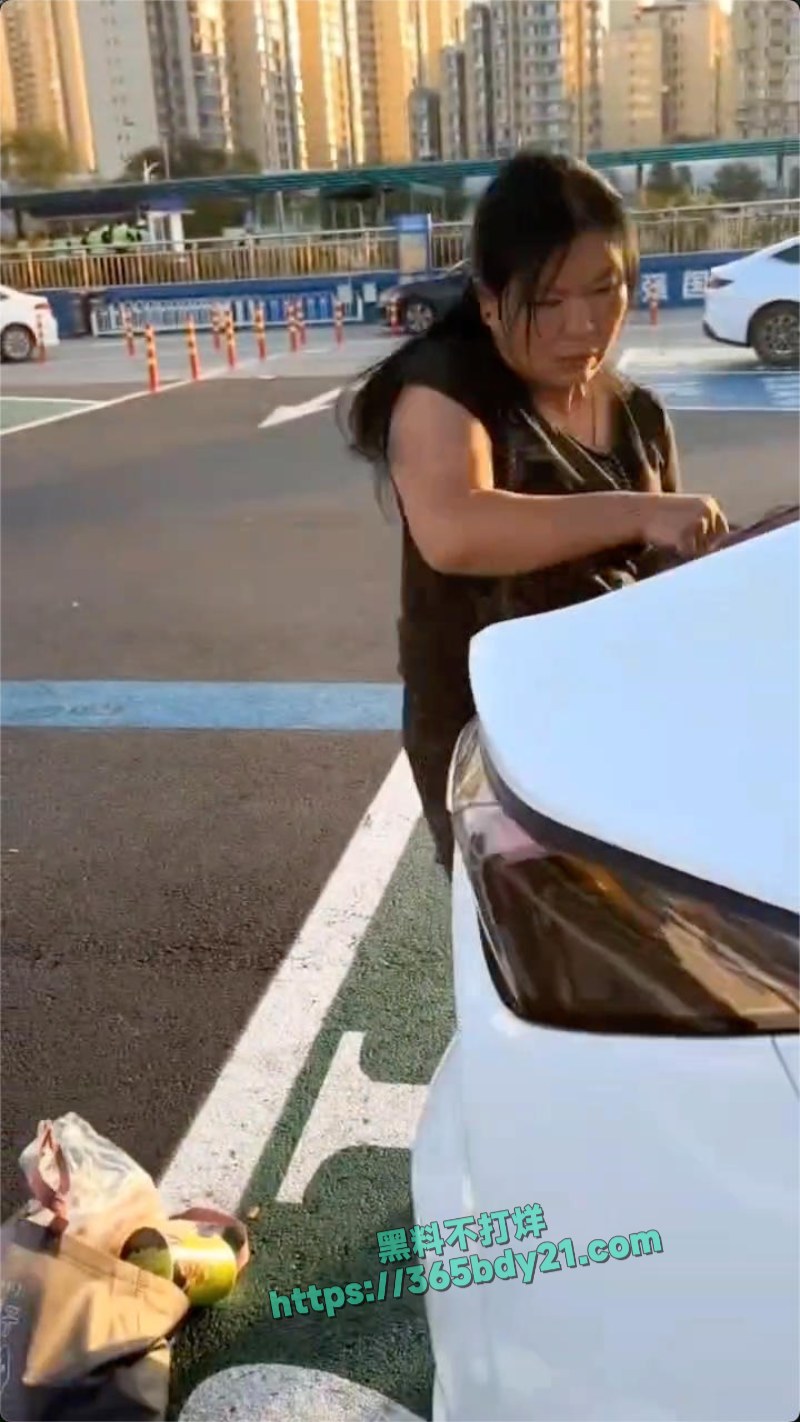 北京一环国际旅行社司机骂人扔行李 10