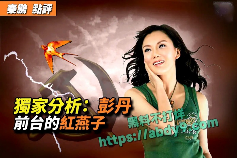 前香港三级片女王彭丹出席国家外交活动 4