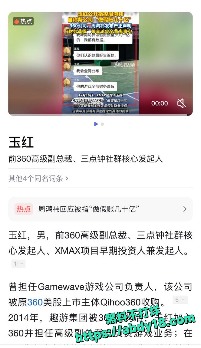 玉红指控周鸿祎假账几十亿14
