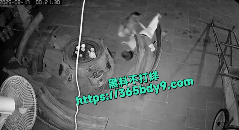 越南毒妇捅死自己老公7