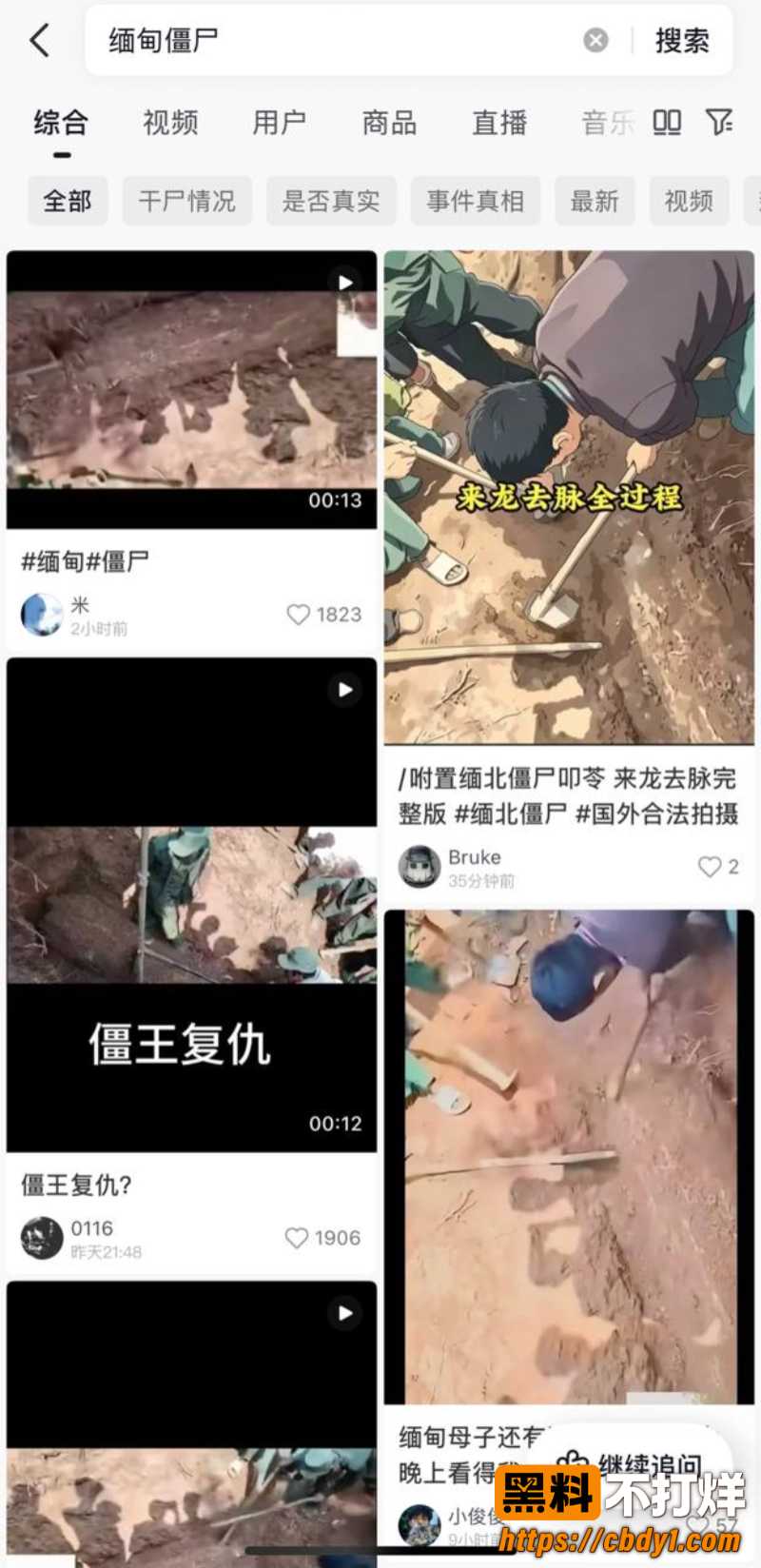 佤邦僵尸 缅甸僵尸3