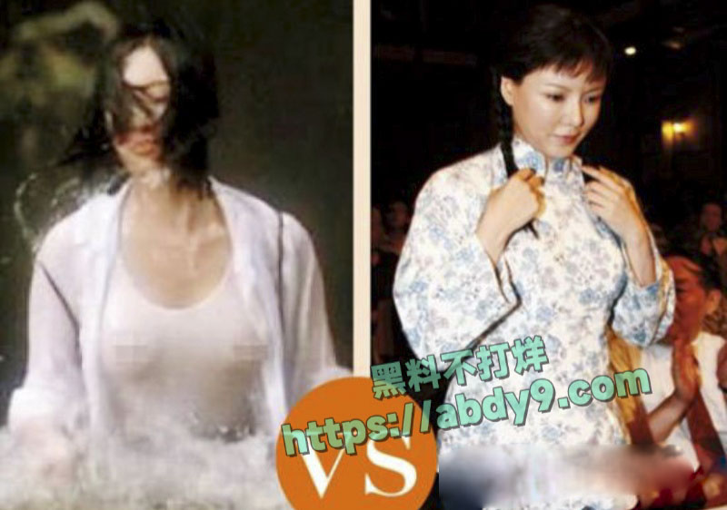 前香港三级片女王彭丹出席国家外交活动 24