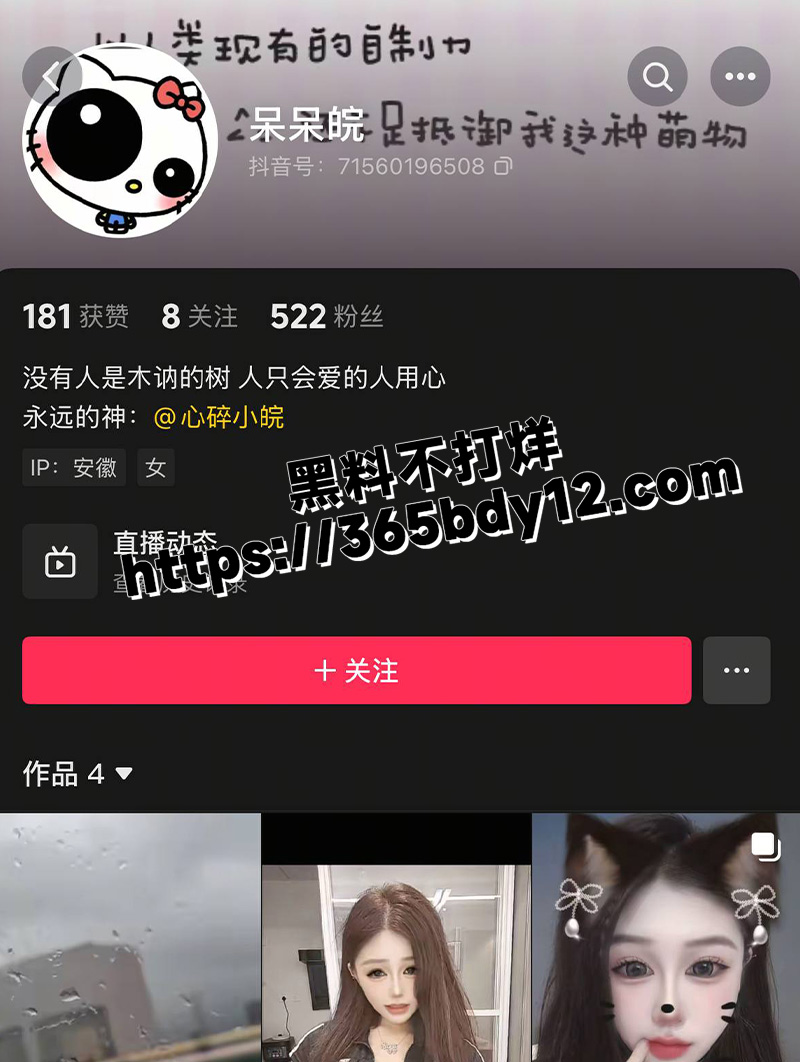 呆呆皖8