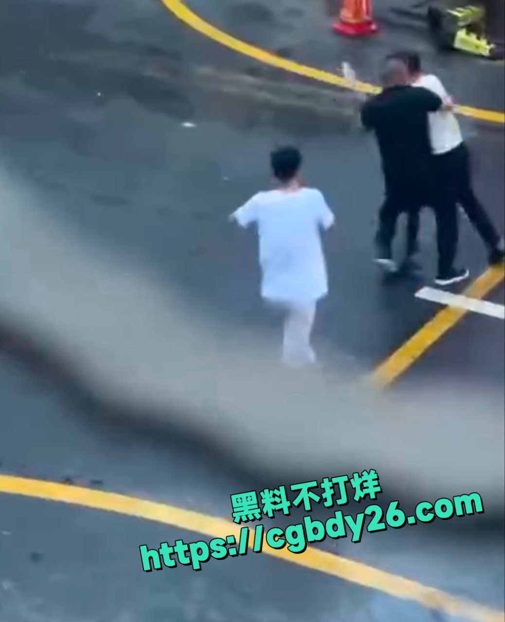 两男子街上互砍5