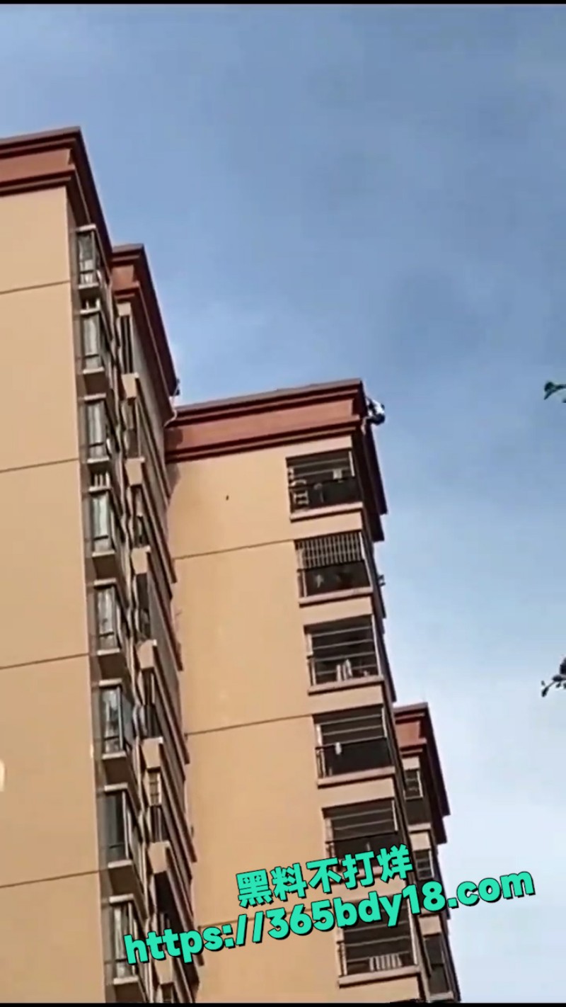 广东清远女孩跳楼 1