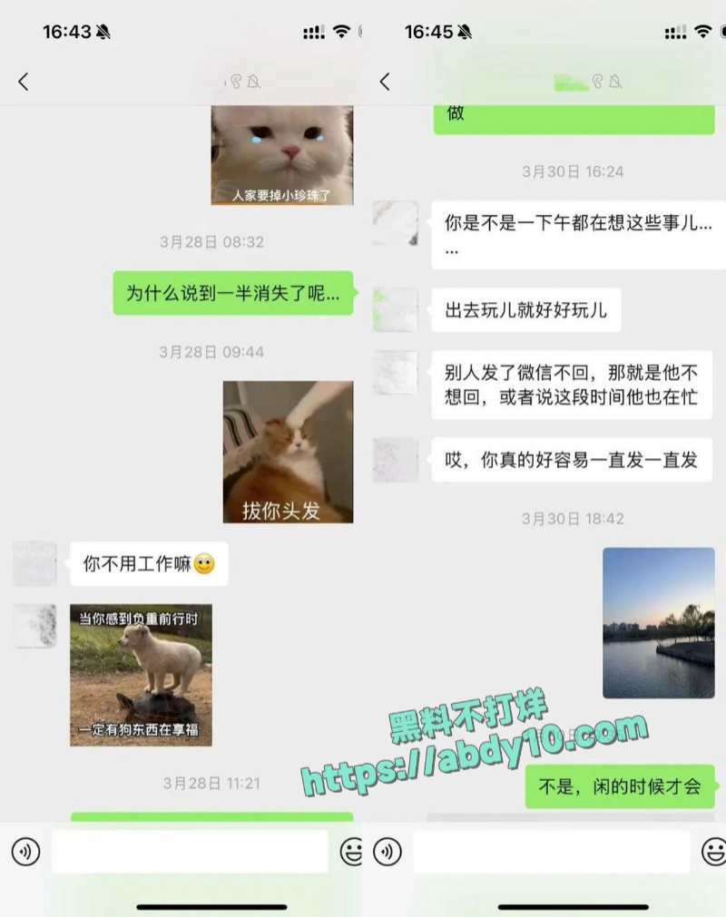 哈弗海王诓骗恋爱脑小姐妹 11