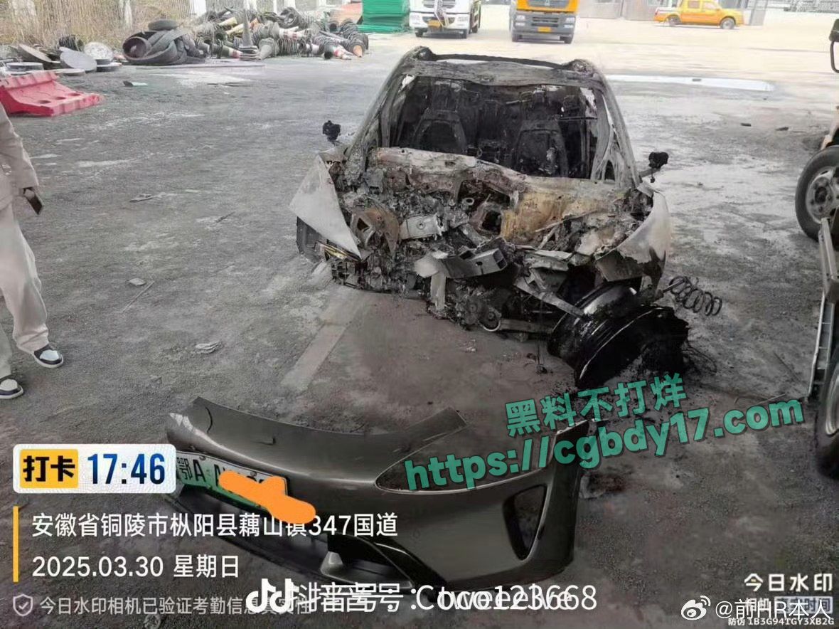 小米事故现场及评论区 (10)