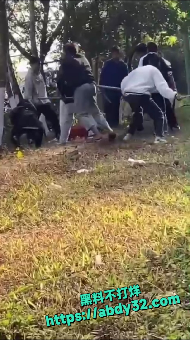 精神小伙团架霸凌 4