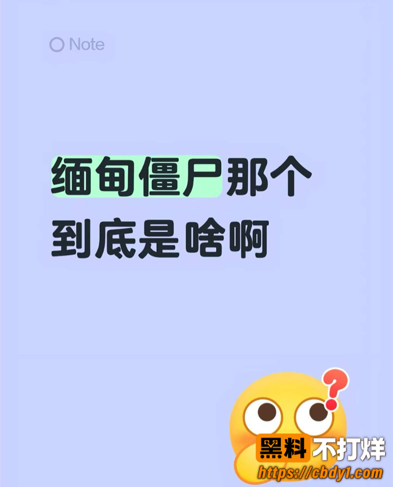 佤邦僵尸 缅甸僵尸5