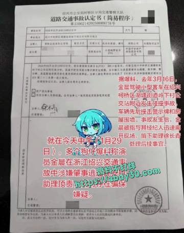 金晨被曝在浙江肇事逃逸让助理顶包骗保 3