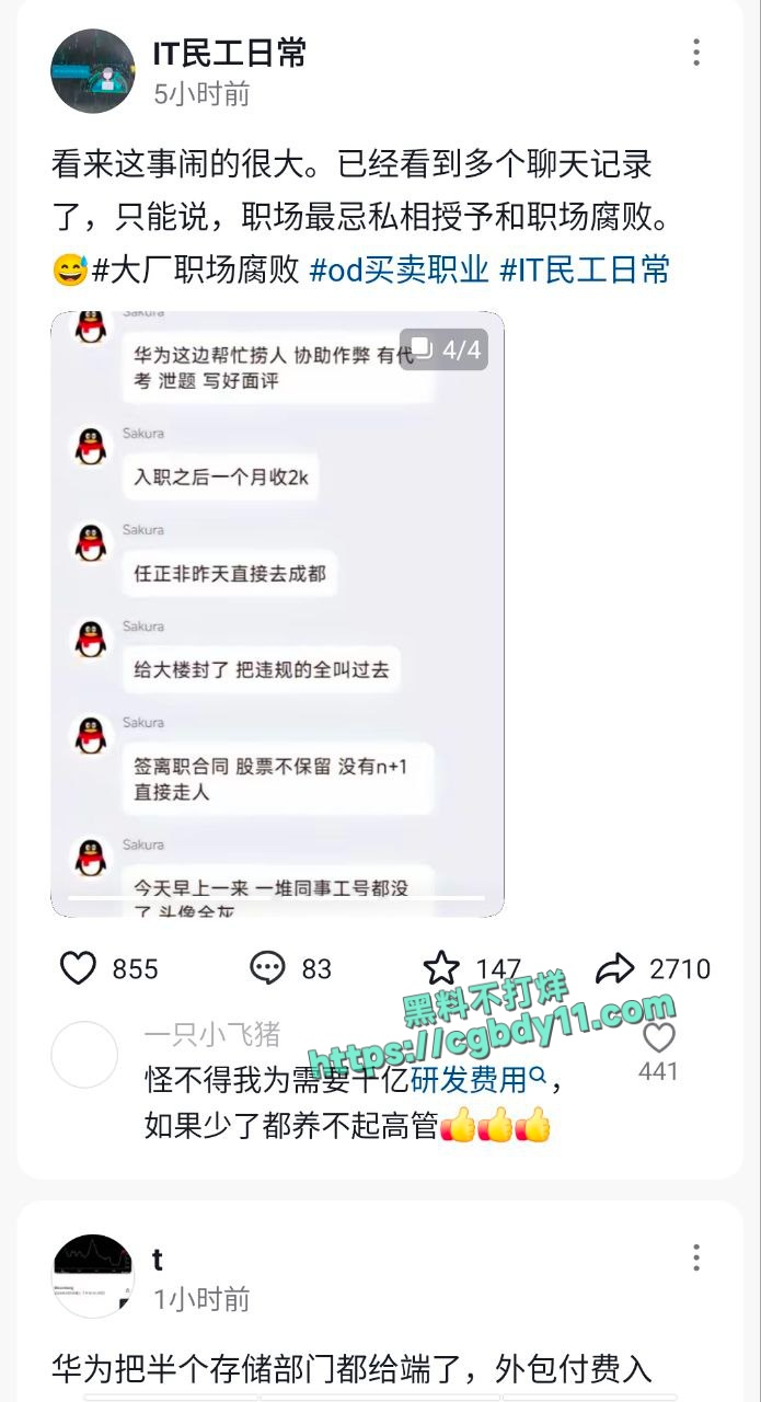 华为 (10).jpg