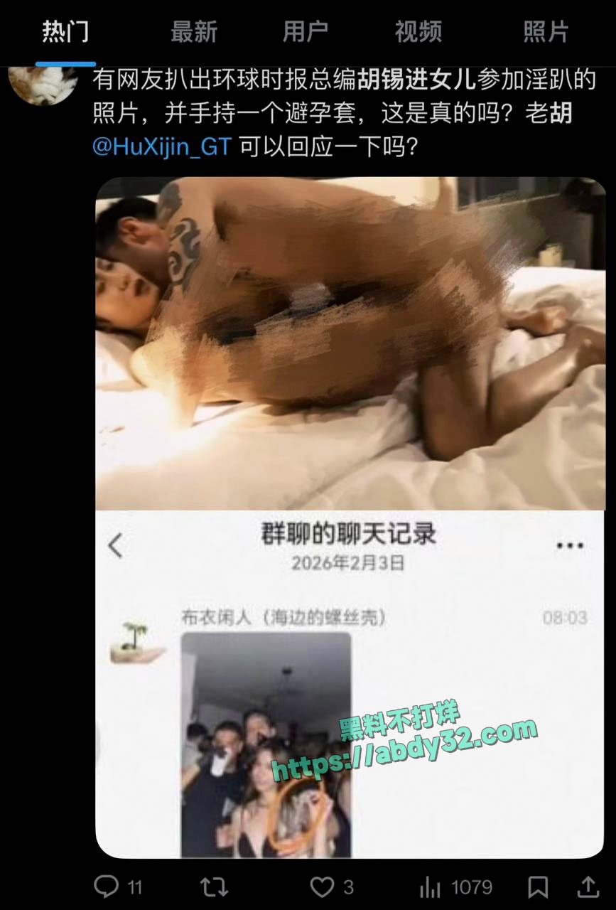 环球总编胡锡进女儿胡维佳国外开淫趴 5