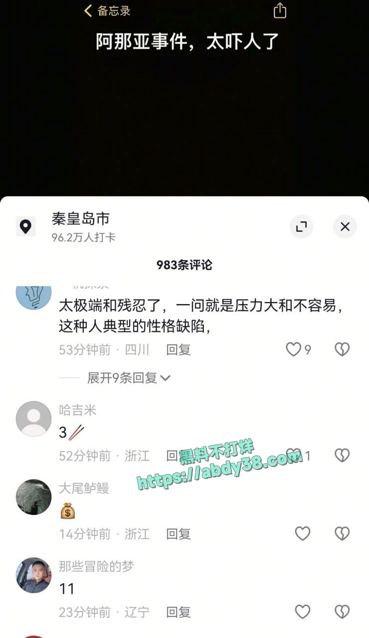 河北阿那亚门口斧头砍人事件 4