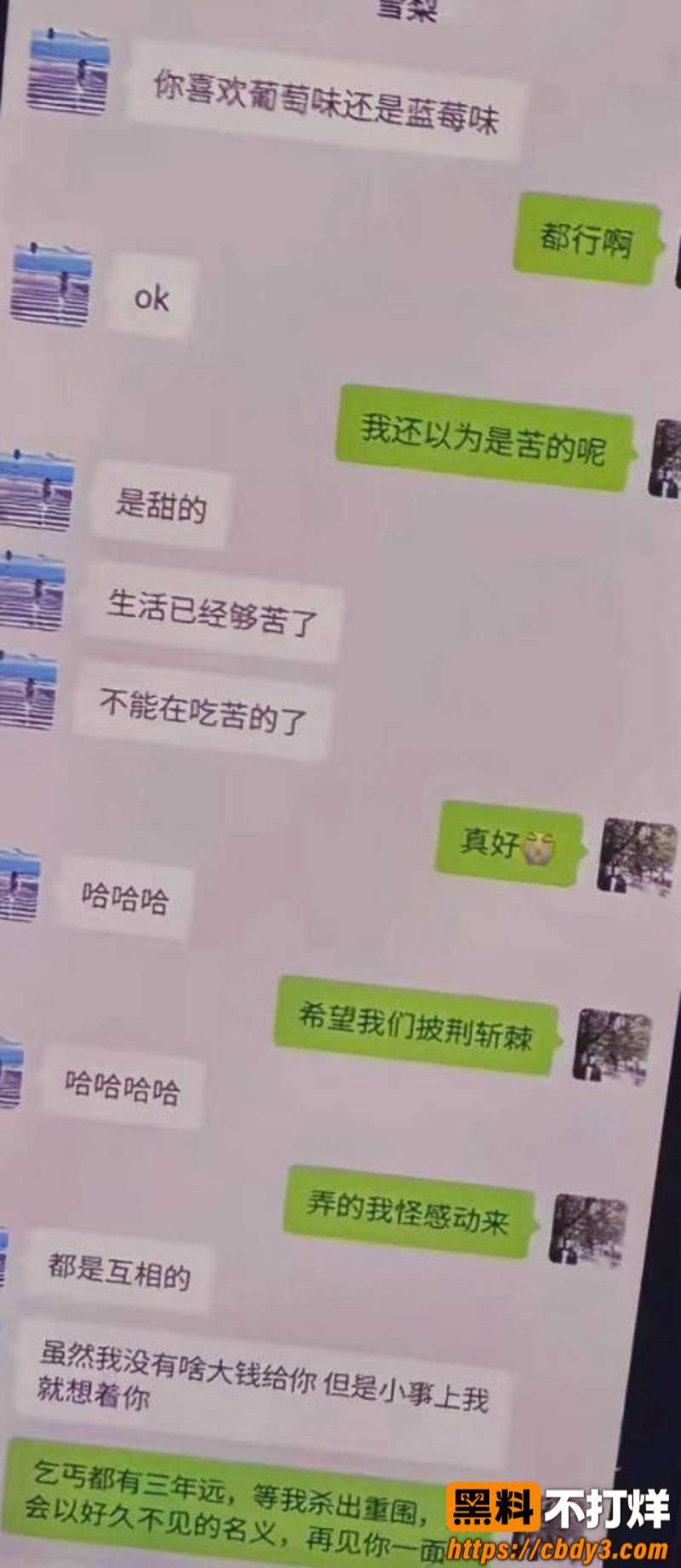 雪梨知三当三7