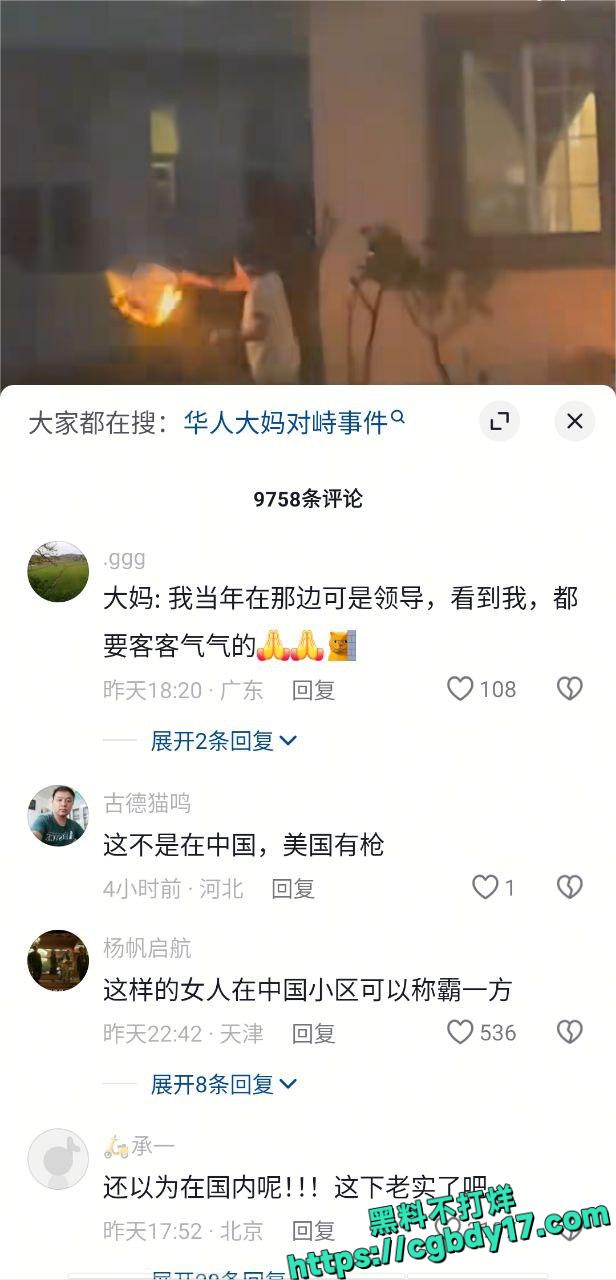 华人大妈持菜刀与警方对峙被击毙