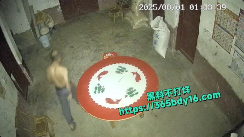 监控拍下母亲偷情视频1