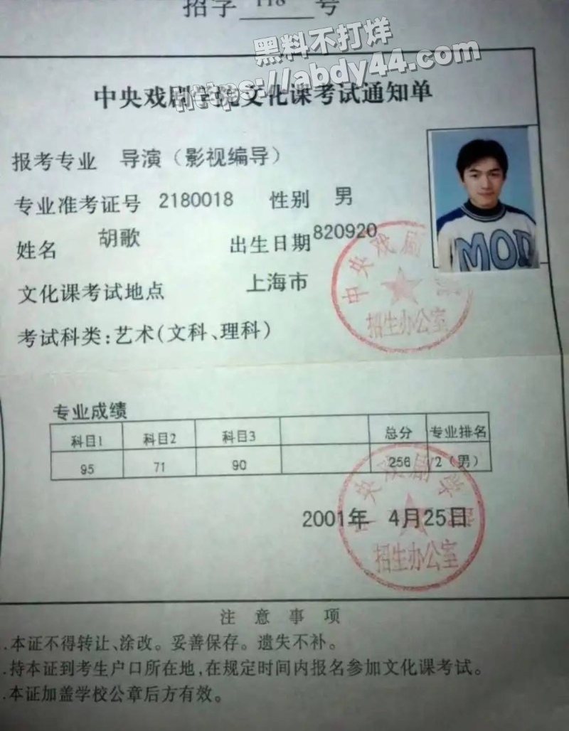 胡歌的瓜28