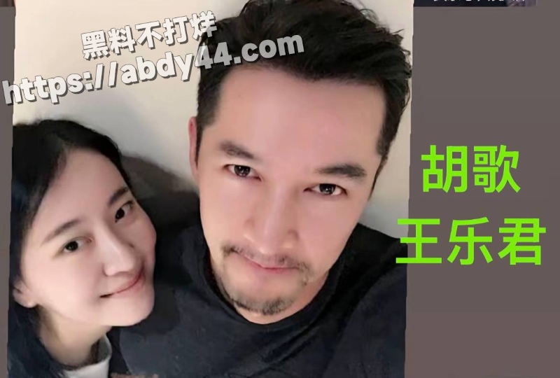 胡歌的瓜20
