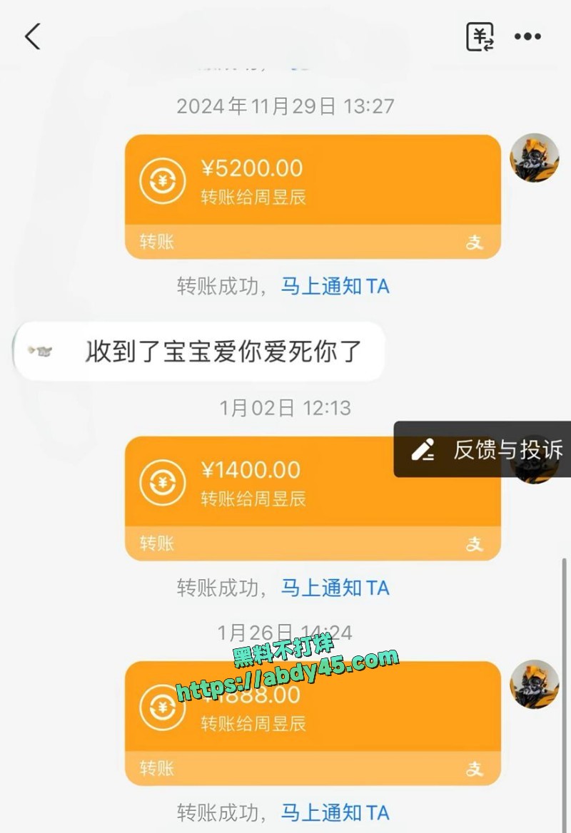 抖音网红周辰辰 15
