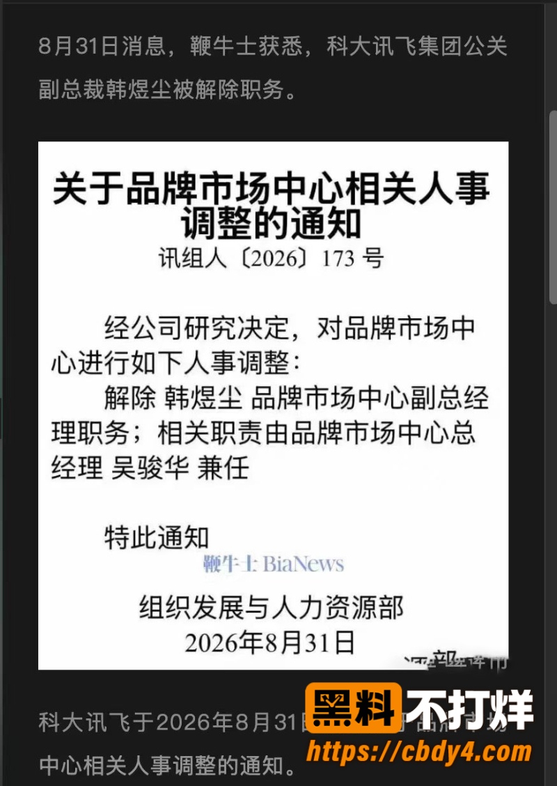 科大讯飞公关副总韩煜尘 17