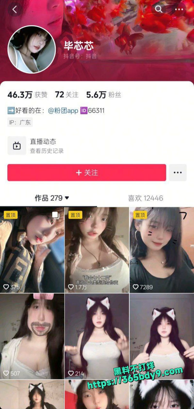 抖音毕芯芯定制福利视频1