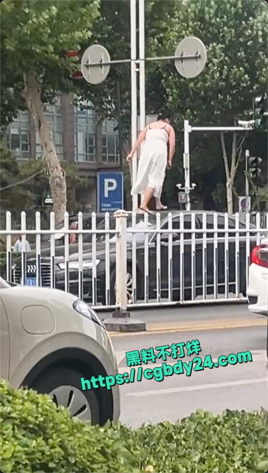 河南 洛阳 多段女子在机动车道上持械打砸多辆车的视频引发关注 5