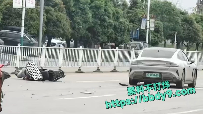 小米SU7撞死29岁女子2