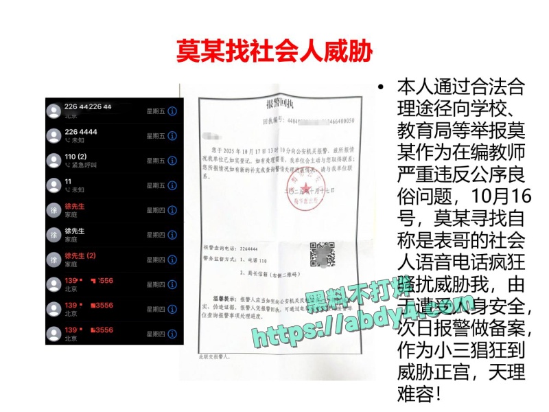 珠海金凤小学教师莫莉不雅视频泄密 13