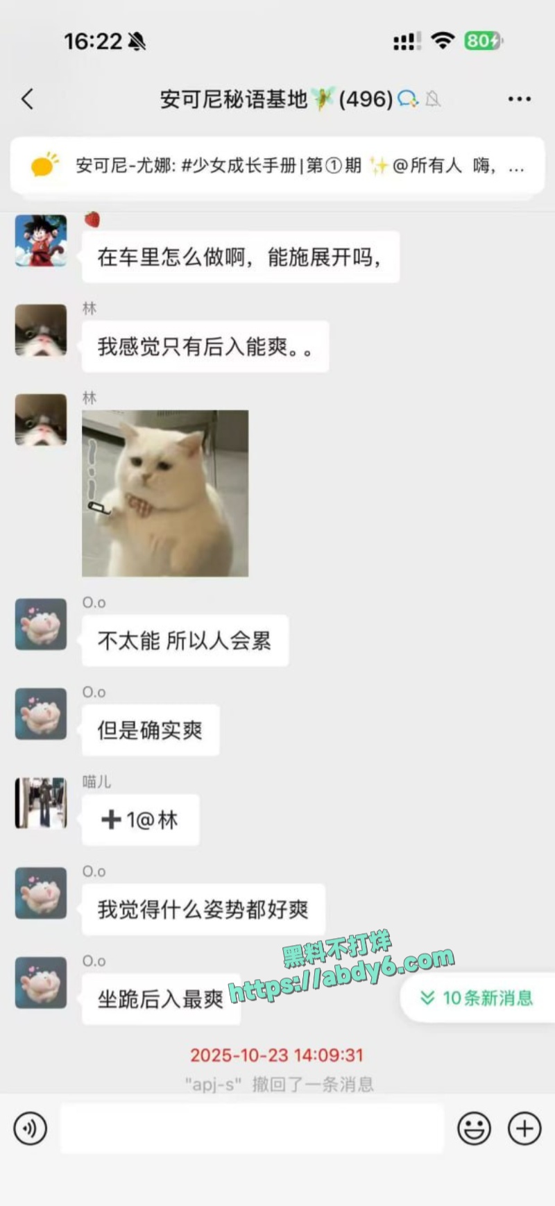 安可尼秘语基地群聊记录尺度大胆 3