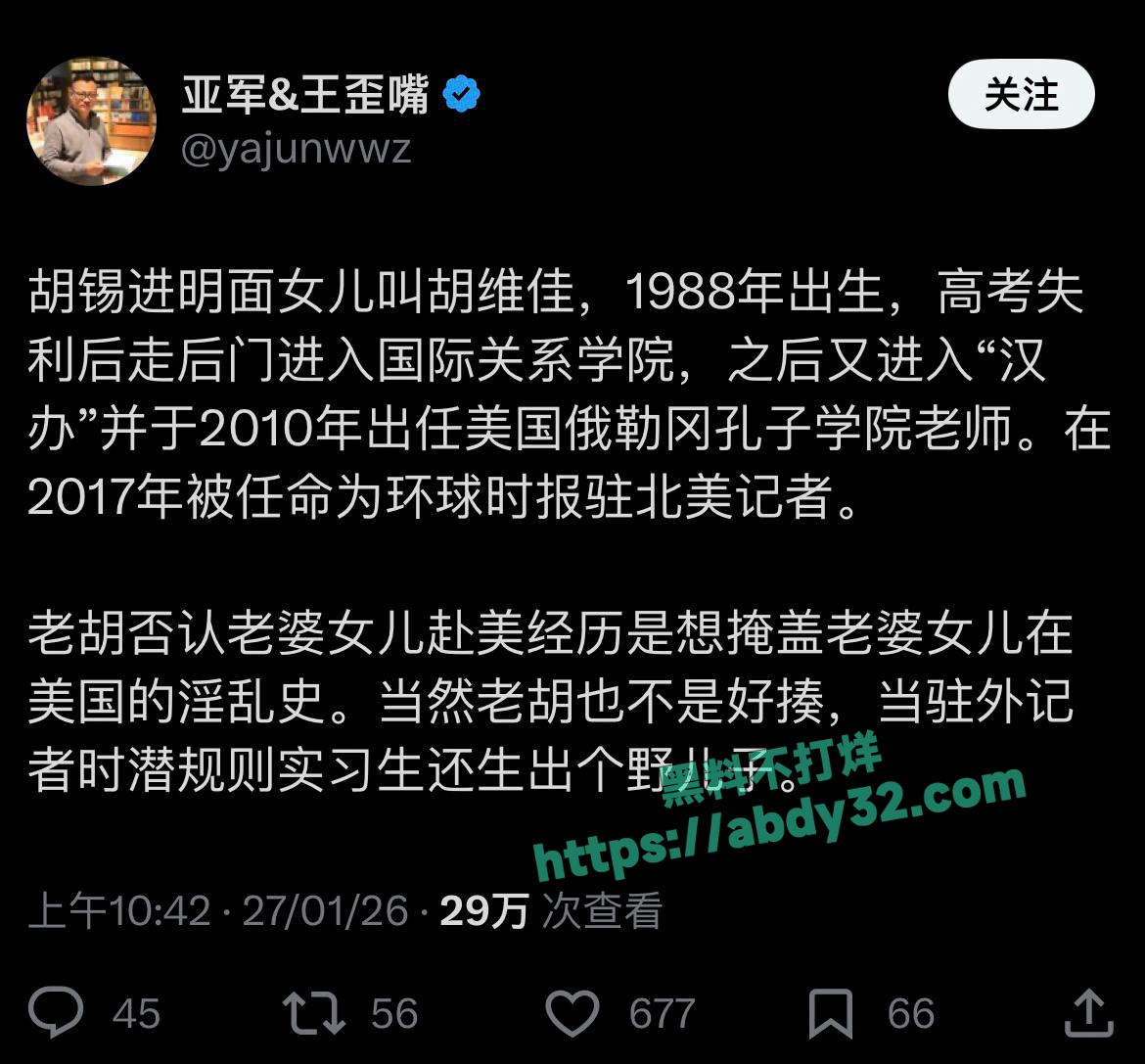 环球总编胡锡进女儿胡维佳国外开淫趴 3