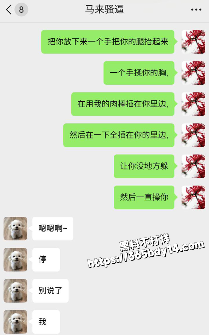 网调马来西亚小妞10