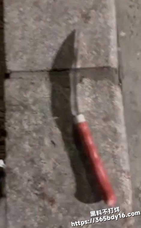黑丝刀妹砍人2