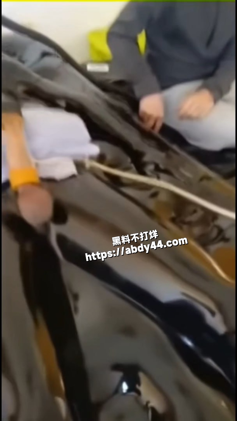 SM玩木乃伊术4