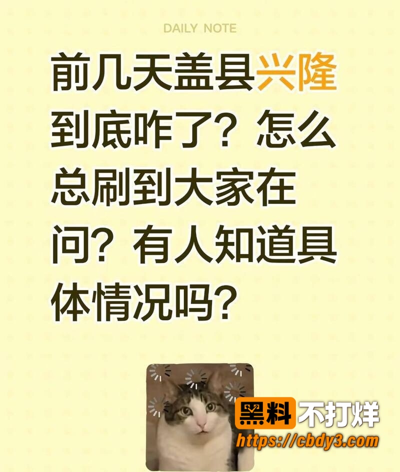 盖州兴隆KTV事件视频12