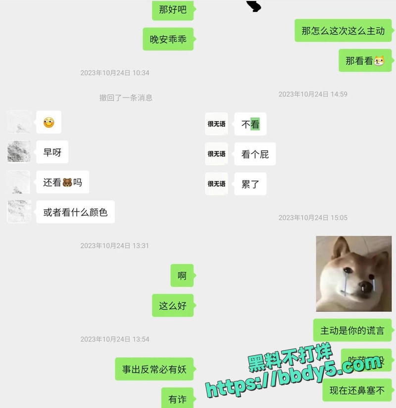 聊天记录21