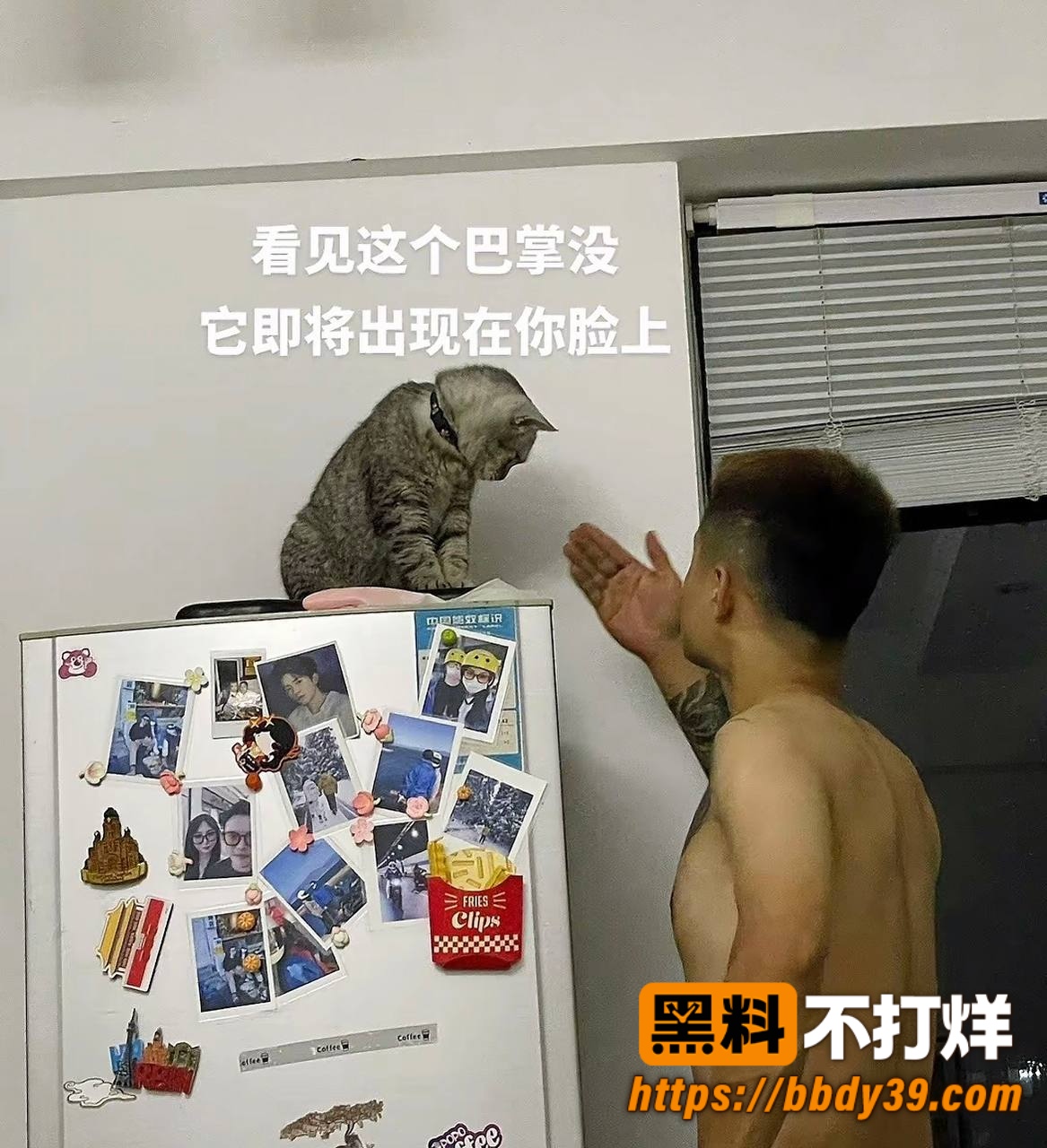 丑的精致照片7
