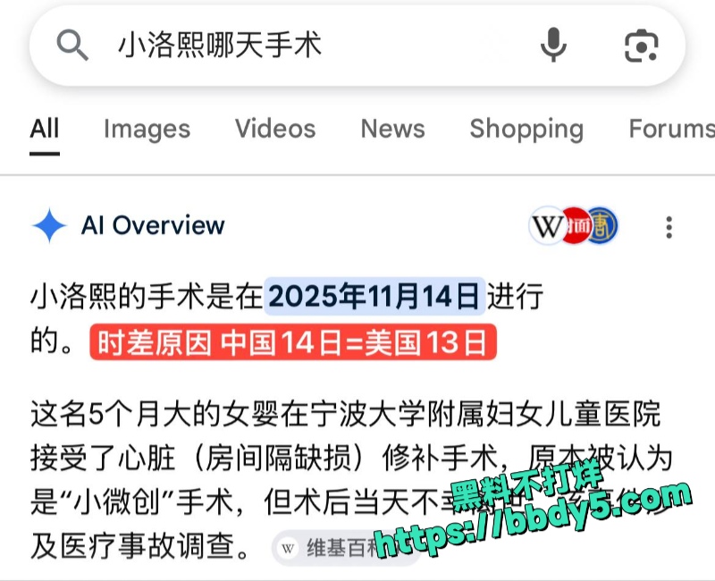 小洛熙案幕后真凶下场12