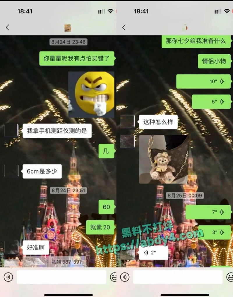 四川高颜值网红npc王晨软饭硬吃 11